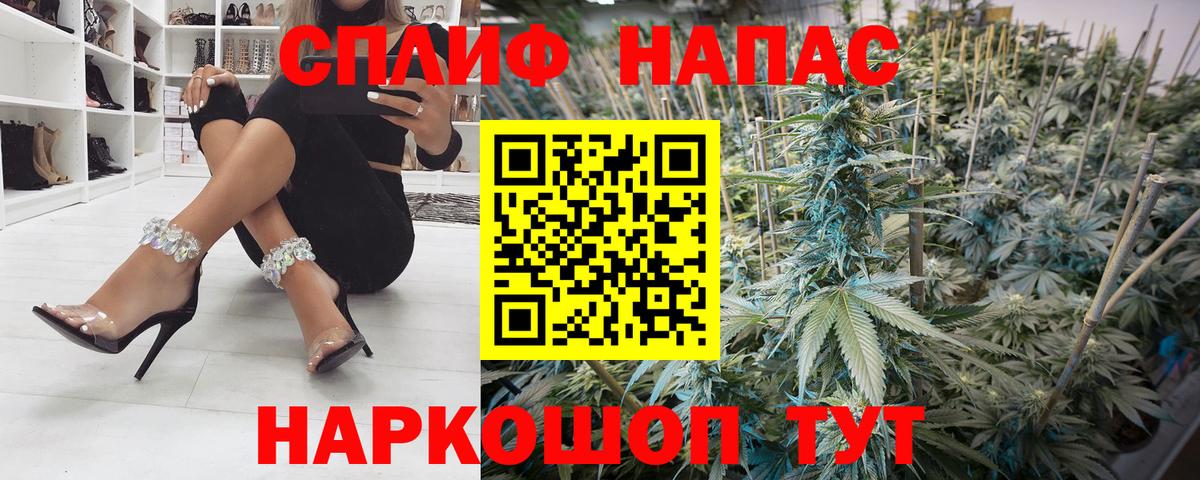 Каннабис план Долгопрудный