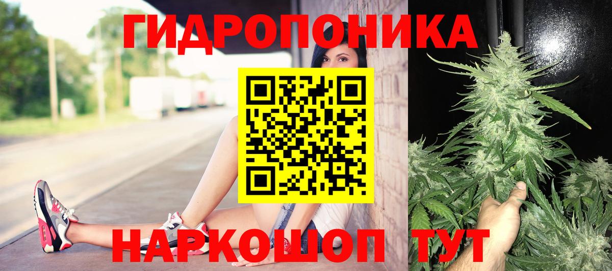 Марихуана тримм  МАРИХУАНА марихуана  Вход с VPN  Долгопрудный  Бошки Шишки гибрид  Конопля план 